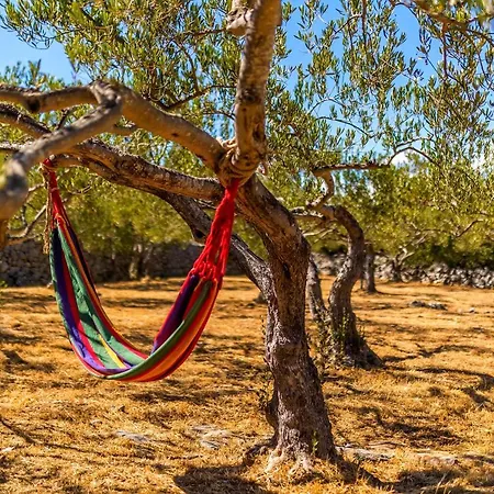 Island Getaway - Heritage House